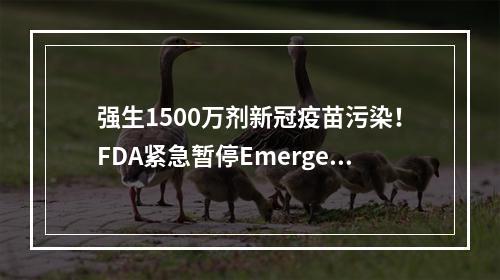 强生1500万剂新冠疫苗污染！FDA紧急暂停Emergent工厂生产