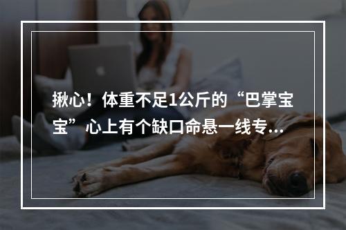 揪心！体重不足1公斤的“巴掌宝宝”心上有个缺口命悬一线专家在嫩如豆腐的心脏上成功补洞