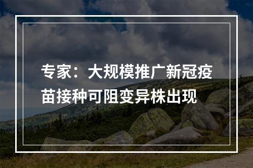 专家：大规模推广新冠疫苗接种可阻变异株出现