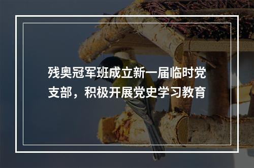 残奥冠军班成立新一届临时党支部，积极开展党史学习教育