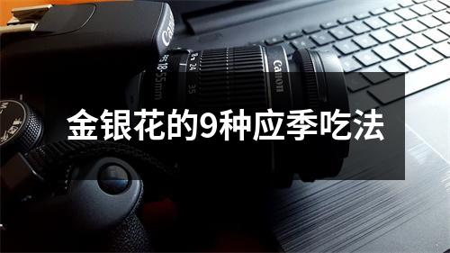 金银花的9种应季吃法