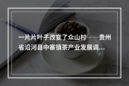 一片片叶子改变了众山村――贵州省沿河县中寨镇茶产业发展调查