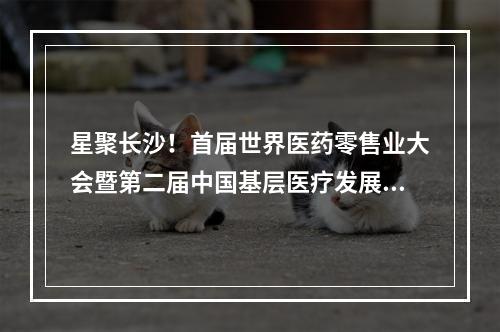 星聚长沙！首届世界医药零售业大会暨第二届中国基层医疗发展大会即将开幕