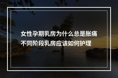 女性孕期乳房为什么总是胀痛不同阶段乳房应该如何护理
