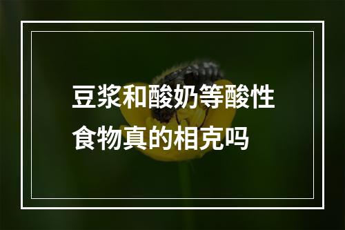 豆浆和酸奶等酸性食物真的相克吗