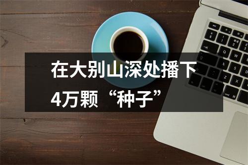 在大别山深处播下4万颗“种子”