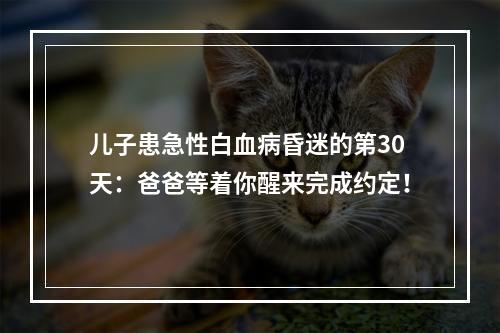 儿子患急性白血病昏迷的第30天：爸爸等着你醒来完成约定！