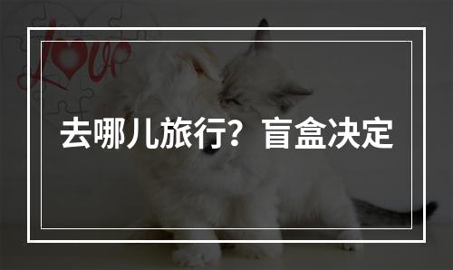 去哪儿旅行？盲盒决定