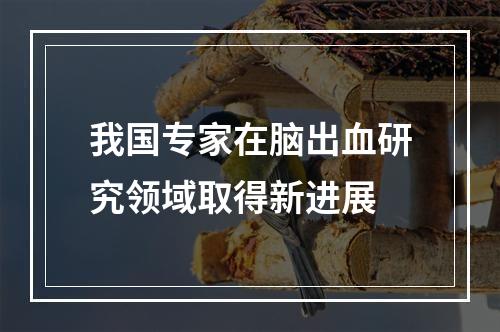 我国专家在脑出血研究领域取得新进展