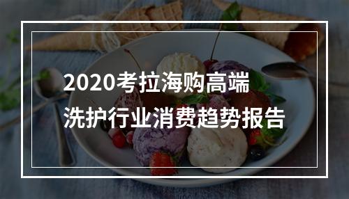 2020考拉海购高端洗护行业消费趋势报告