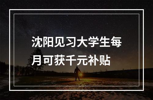 沈阳见习大学生每月可获千元补贴