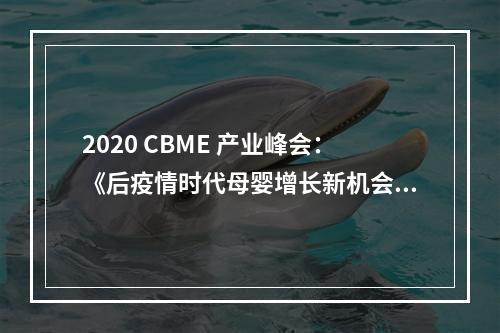 2020 CBME 产业峰会：《后疫情时代母婴增长新机会》