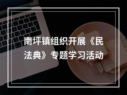 南坪镇组织开展《民法典》专题学习活动