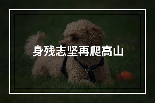 身残志坚再爬高山