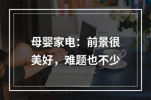 母婴家电：前景很美好，难题也不少