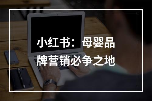 小红书：母婴品牌营销必争之地