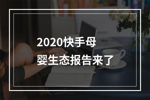 2020快手母婴生态报告来了