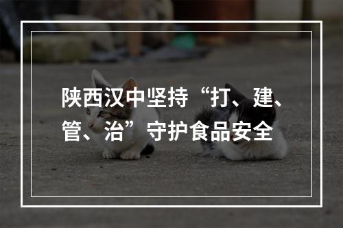陕西汉中坚持“打、建、管、治”守护食品安全