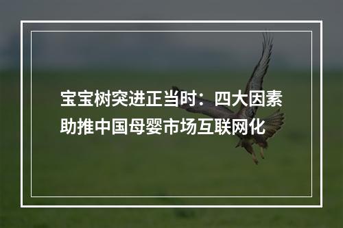 宝宝树突进正当时：四大因素助推中国母婴市场互联网化