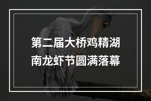 第二届大桥鸡精湖南龙虾节圆满落幕