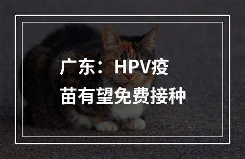 广东：HPV疫苗有望免费接种