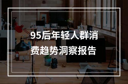 95后年轻人群消费趋势洞察报告