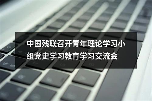 中国残联召开青年理论学习小组党史学习教育学习交流会