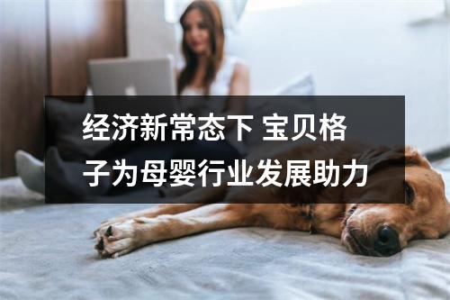 经济新常态下 宝贝格子为母婴行业发展助力