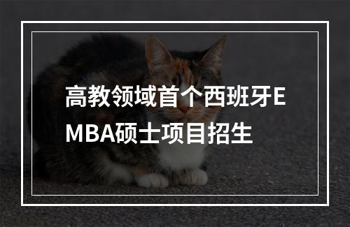 高教领域首个西班牙EMBA硕士项目招生