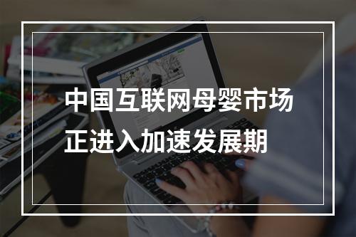 中国互联网母婴市场正进入加速发展期