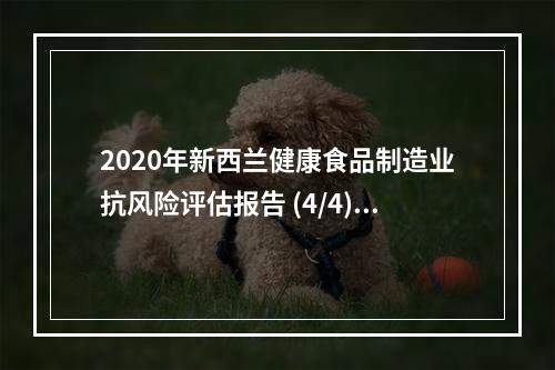 2020年新西兰健康食品制造业抗风险评估报告 (4/4) （解析篇）