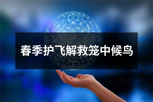 春季护飞解救笼中候鸟