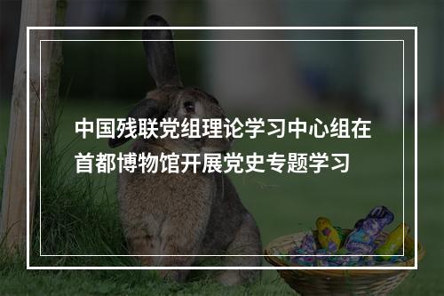 中国残联党组理论学习中心组在首都博物馆开展党史专题学习