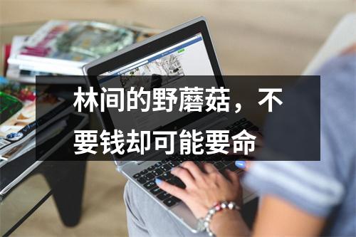 林间的野蘑菇，不要钱却可能要命