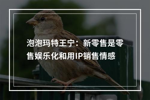 泡泡玛特王宁：新零售是零售娱乐化和用IP销售情感
