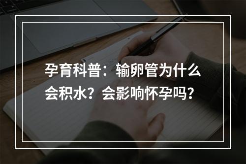 孕育科普：输卵管为什么会积水？会影响怀孕吗？
