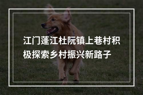 江门蓬江杜阮镇上巷村积极探索乡村振兴新路子