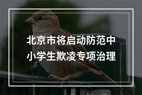 北京市将启动防范中小学生欺凌专项治理