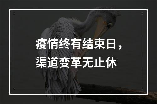 疫情终有结束日，渠道变革无止休