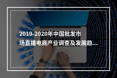 2019-2020年中国批发市场直播电商产业调查及发展趋势报告