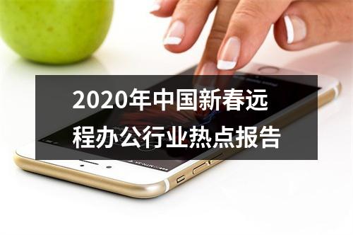 2020年中国新春远程办公行业热点报告