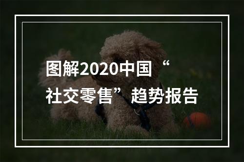 图解2020中国“社交零售”趋势报告