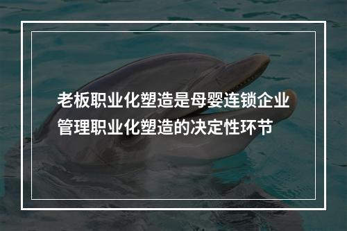 老板职业化塑造是母婴连锁企业管理职业化塑造的决定性环节