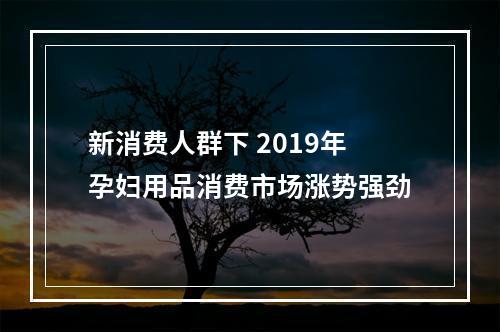 新消费人群下 2019年孕妇用品消费市场涨势强劲