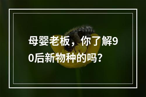 母婴老板，你了解90后新物种的吗？