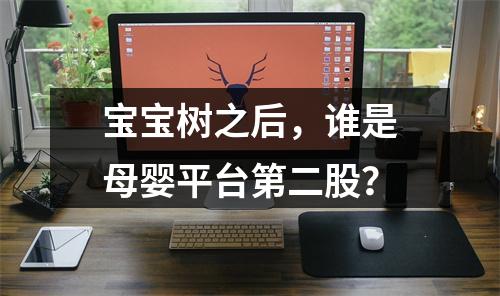 宝宝树之后，谁是母婴平台第二股？