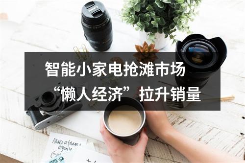 智能小家电抢滩市场 “懒人经济”拉升销量