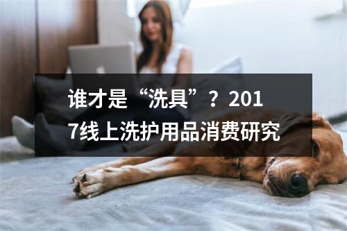 谁才是“洗具”？2017线上洗护用品消费研究