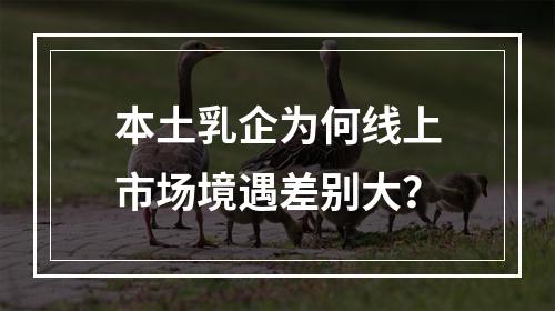 本土乳企为何线上市场境遇差别大？