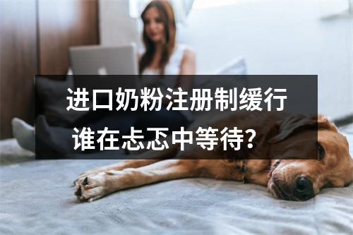 进口奶粉注册制缓行 谁在忐忑中等待？